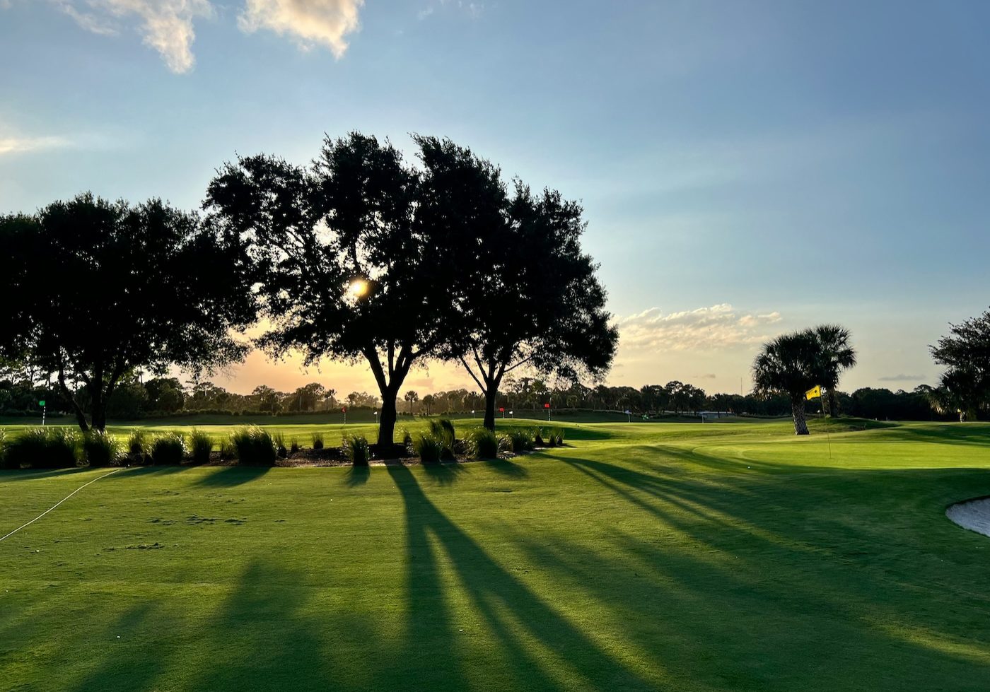 grey oaks florida neighborhood guide